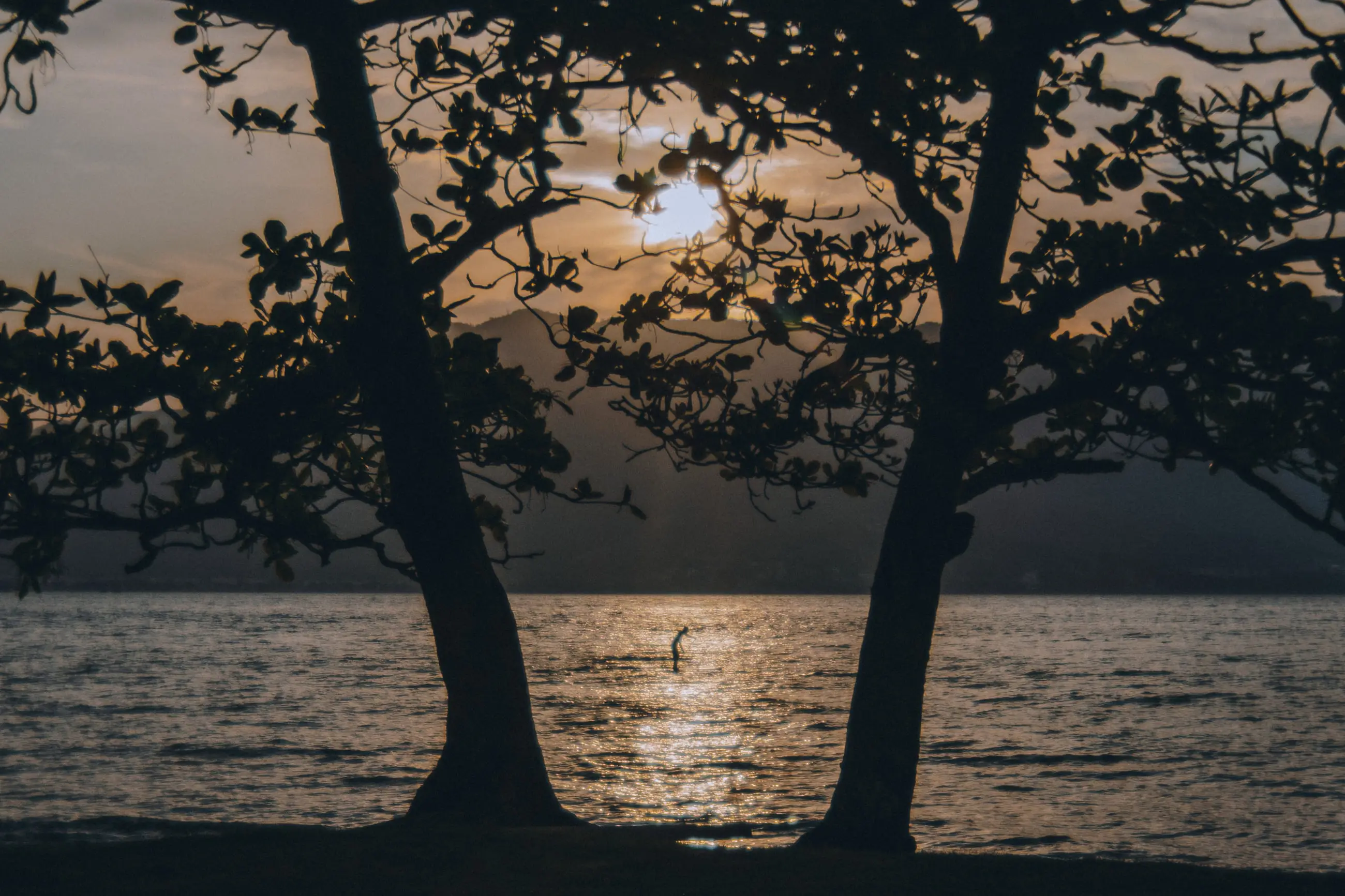 Silhueta de duas árvores na beira da água ao pôr do sol, com alguém de stand-up paddle na esteira de luz sobre o canal.
